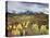 Colorado, San Juan Mountains, a Storm over Aspens at the Dallas Divide-Christopher Talbot Frank-Premier Image Canvas