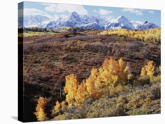 Colorado, San Juan Mountains, Autumn Colors of Aspen at Dallas Divide-Christopher Talbot Frank-Premier Image Canvas