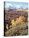 Colorado, San Juan Mountains, Autumn Colors of Aspen at Dallas Divide-Christopher Talbot Frank-Premier Image Canvas