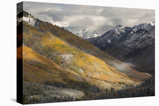 Colorado, San Juan Mountains. Red Mountain Pass after Autumn Snowfall-Don Grall-Premier Image Canvas