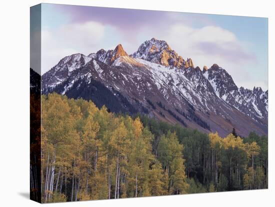 Colorado, San Juan Mts, Fall Colors of Aspen Trees and Mount Sneffels-Christopher Talbot Frank-Premier Image Canvas