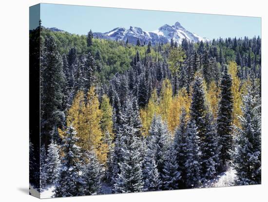 Colorado, San Juan Mts, First Snow and Fall Colors of the Forest-Christopher Talbot Frank-Premier Image Canvas