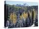 Colorado, San Juan Mts, First Snow and Fall Colors of the Forest-Christopher Talbot Frank-Premier Image Canvas