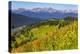 Colorado, Shrine Pass, Vail. Wildflowers on Mountain Landscape-Jaynes Gallery-Premier Image Canvas