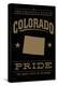 Colorado State Pride - Gold on Black-Lantern Press-Stretched Canvas