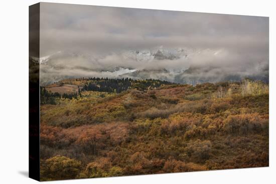 Colorado, Uncompahgre National Forest. Autumn Snowstorm Above Sneffels Range-Jaynes Gallery-Premier Image Canvas