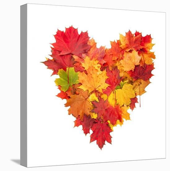 Colored Autumn Leaves In Heart Shape Isolated On White Background-Jag_cz-Stretched Canvas