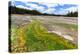 Colored Thermophilic Bacteria in Yellowstone National Park-James White-Premier Image Canvas