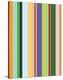 Colorfield Stripe-Dan Bleier-Stretched Canvas