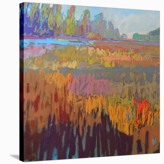 Colorfield XXII-Jane Schmidt-Stretched Canvas