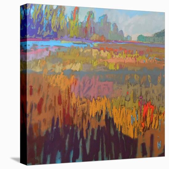 Colorfield XXII-Jane Schmidt-Stretched Canvas