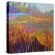 Colorfield XXII-Jane Schmidt-Stretched Canvas