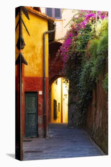 Colorful Alley in Portofino-George Oze-Premier Image Canvas