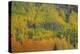 Colorful Aspen Forest-Bill Sherrell-Premier Image Canvas