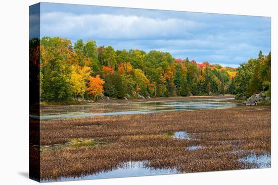 Colorful autumn trees on a shore of a lake in northern Ontario, Canada-null-Premier Image Canvas