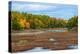 Colorful autumn trees on a shore of a lake in northern Ontario, Canada-null-Premier Image Canvas