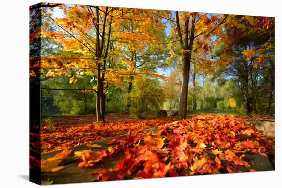 Colorful Autumn-Philippe Sainte-Laudy-Premier Image Canvas