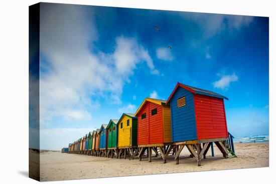 Colorful Beach Shacks, Muizenberg Beach, Cape Town, South Africa, Africa-Laura Grier-Premier Image Canvas