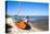 Colorful Boats on the Beach, Torreira, Aveiro, Beira, Portugal, Europe-G and M Therin-Weise-Premier Image Canvas