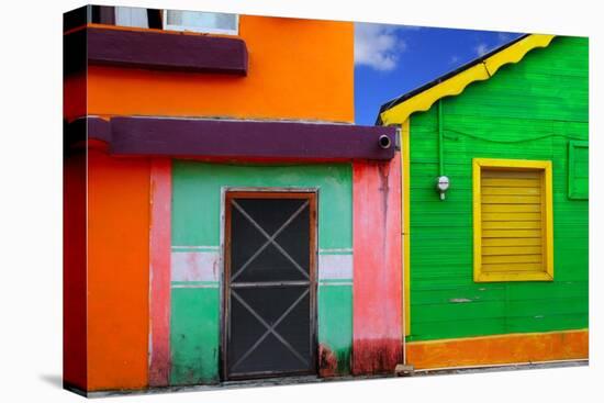 Colorful Caribbean Houses Tropical Vivid Colors Isla Mujeres Mexico-holbox-Premier Image Canvas