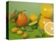 Colorful Citrus Fruit-Ulrike Koeb-Premier Image Canvas