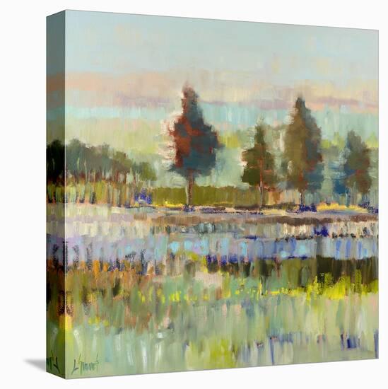 Colorful Fields-Libby Smart-Stretched Canvas