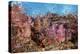 Colorful Fiji Coral Reef-Reinhard Dirscherl-Premier Image Canvas