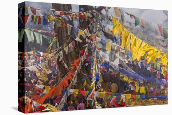 Colorful Flags, Bhutan-Art Wolfe-Premier Image Canvas