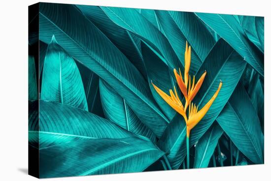 Colorful Flower on Dark Tropical Foliage Nature Background-null-Premier Image Canvas