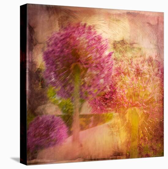 Colorful Flowers-Robert Cattan-Premier Image Canvas