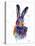 Colorful Hare-Sarah Stribbling-Stretched Canvas
