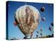 Colorful Hot Air Balloons, Albuquerque Balloon Fiesta, Albuquerque, New Mexico, USA-null-Premier Image Canvas