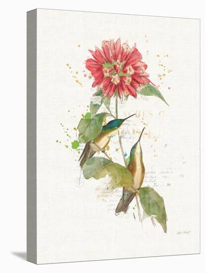Colorful Hummingbirds I-Katie Pertiet-Stretched Canvas