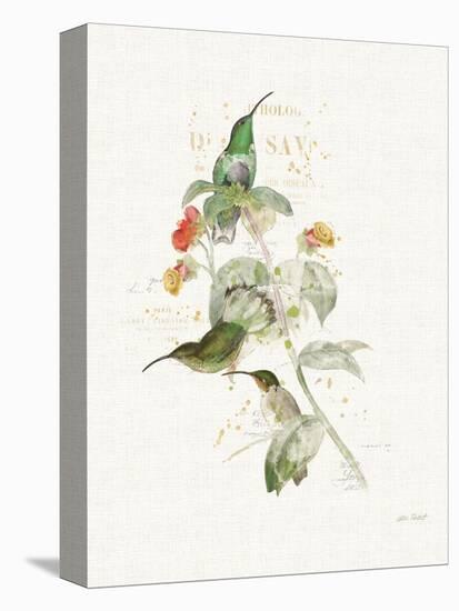 Colorful Hummingbirds III-Katie Pertiet-Stretched Canvas