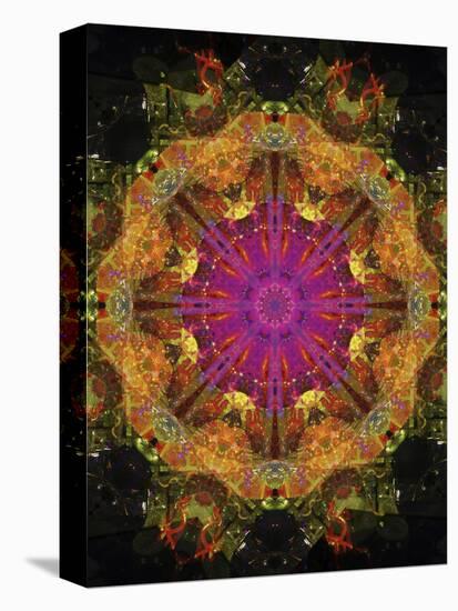 Colorful kaleidoscope.-Anna Miller-Premier Image Canvas