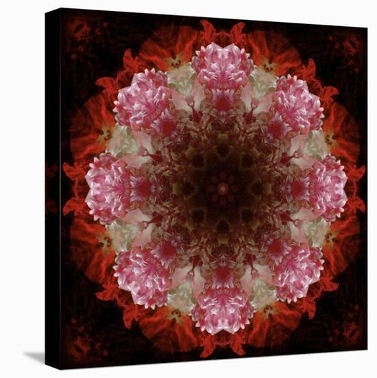 Colorful kaleidoscope.-Anna Miller-Premier Image Canvas