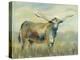 Colorful Longhorn Cow-Silvia Vassileva-Stretched Canvas