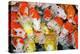 Colorful Many Koi Carp-Yongkiet-Premier Image Canvas