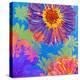 Colorful Photographic Layer Work of Blossoms-Alaya Gadeh-Premier Image Canvas