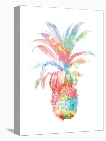 Colorful Pineapple Clean-Jace Grey-Stretched Canvas
