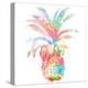 Colorful Pineapple Clean-Jace Grey-Stretched Canvas