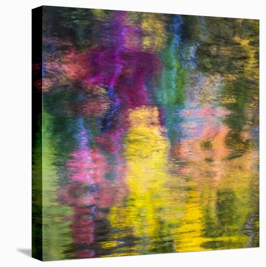 Colorful Reflections III-Kathy Mahan-Premier Image Canvas