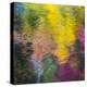 Colorful Reflections IV-Kathy Mahan-Premier Image Canvas