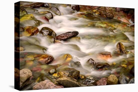 Colorful Rocks in a Rushing Mountain Stream. Glacier NP, Montana-Rona Schwarz-Premier Image Canvas