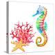 Colorful Seahorse, Red Coral and Starfish, Watercolor.-Elena Sapegina-Premier Image Canvas