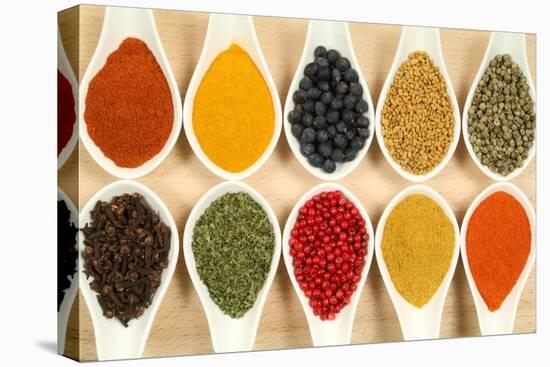 Colorful Spices-Fotokris-Stretched Canvas