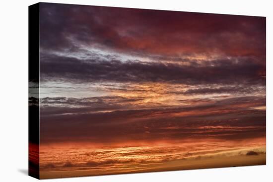 Colorful sunset, New Smyrna Beach, Florida, USA-Lisa Engelbrecht-Premier Image Canvas