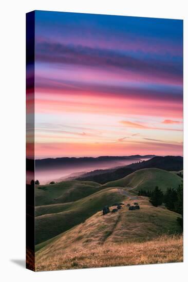 Colorful sunset with pink clouds on Mt. Tam in San Francisco with rolling, golden hills-David Chang-Premier Image Canvas