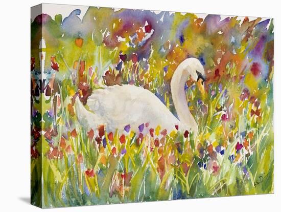 Colorful Swan-Sarah Davis-Premier Image Canvas