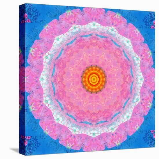 Colorful Symmetric Layer Work from Flowers-Alaya Gadeh-Premier Image Canvas